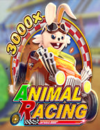 โปรโมชั่น สูตรบาคาร่ารวยรวย: เคล็ดลับการทำเงิน