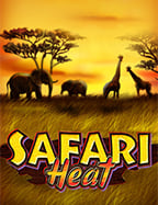 สูตรเด็ดเล่นสล็อต วินเนอร์ 55 ให้ได้กำไรจริงจัง