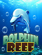 สิ่งที่คุณควรรู้เกี่ยวกับดาว โหลด เกม kiss918 บนมือถือ