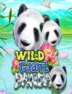 แชร์ประสบการณ์สม คร sbobet ตรง พร้อมสูตรเด็ด