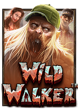 dafabet บอลช ด ทดลองเล่นสนุกไม่เหมือนใคร