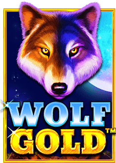 dafabet บอล ชุด: ทดลองเล่นสนุกๆ ที่ไม่ควรพลาด